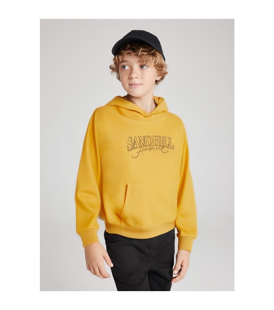 Sudadera capucha bordados chico 6481