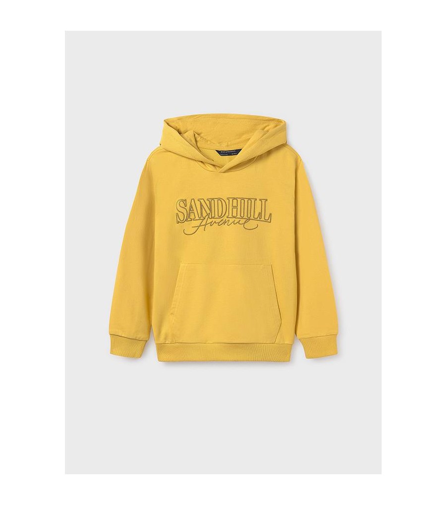 Sudadera capucha bordados... 2