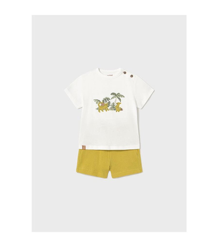 Conjunto bermuda y camiseta...