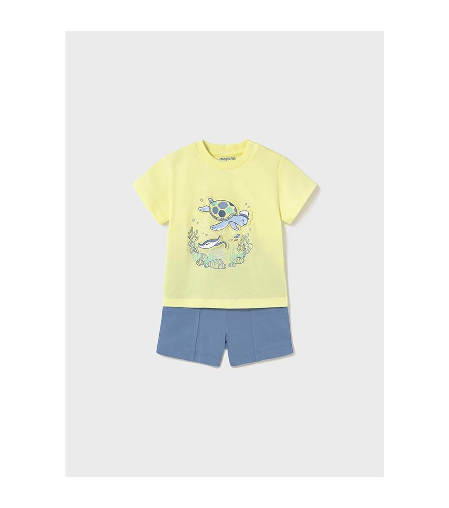 Conjunto bermuda y camiseta...