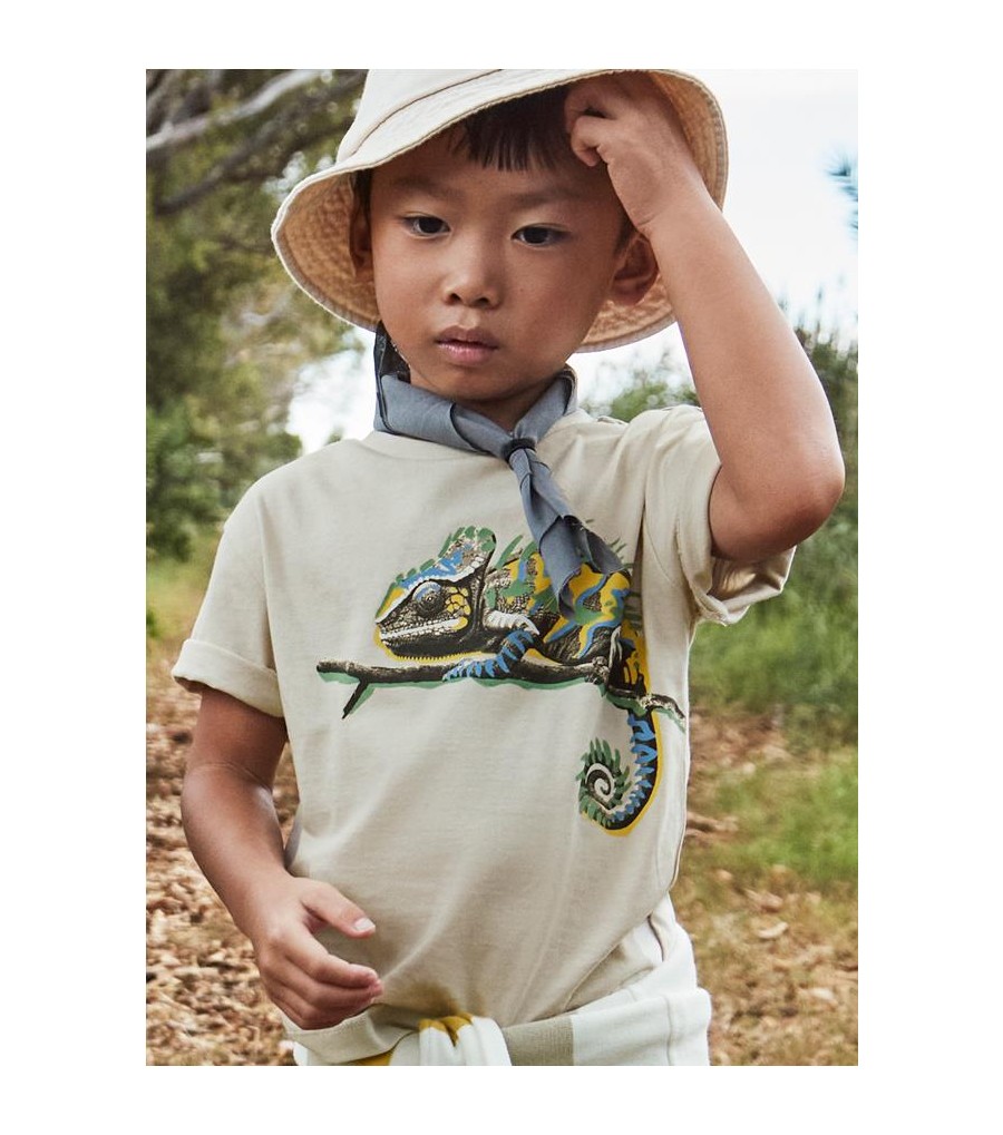 Camiseta camaleón niño 3045