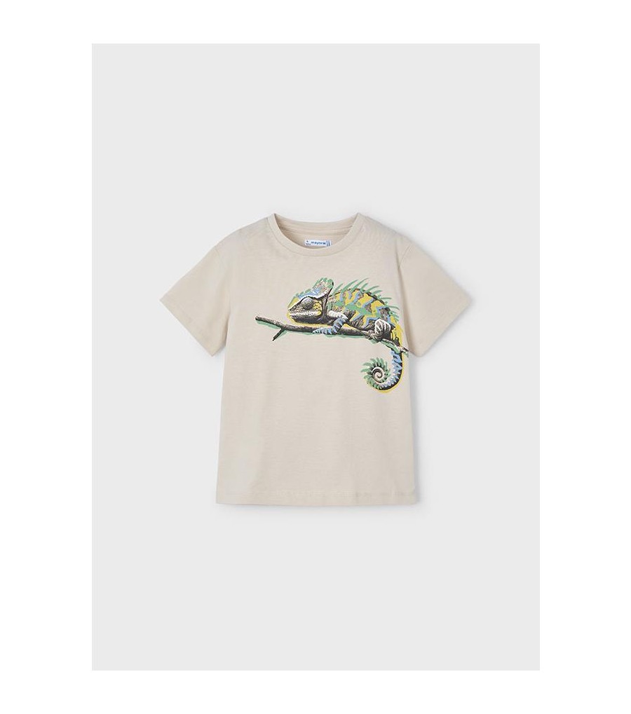 Camiseta camaleón niño 3045 2