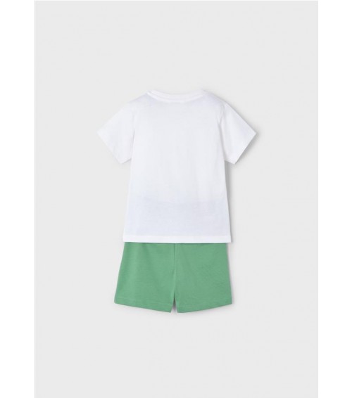 Conjunto bermuda y camiseta tortuga niño 3609