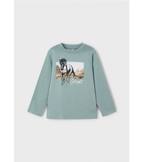 Camiseta caballo niño 4093