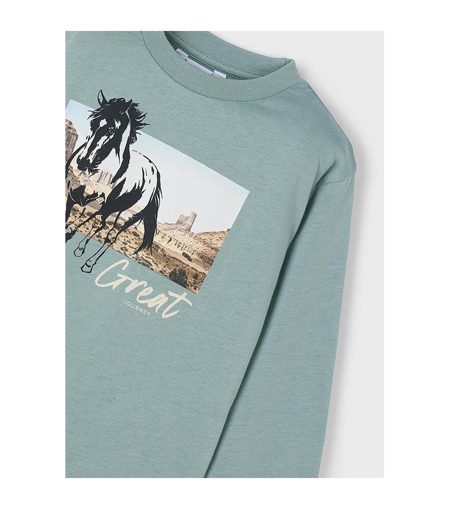 Camiseta caballo niño 4093 2