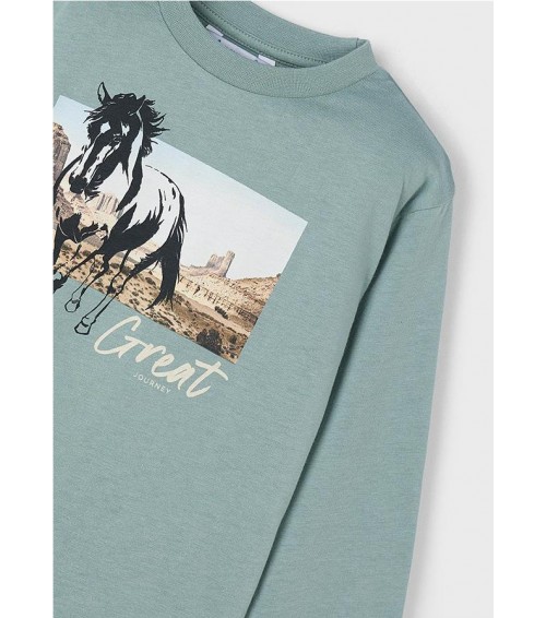 Camiseta caballo niño 4093