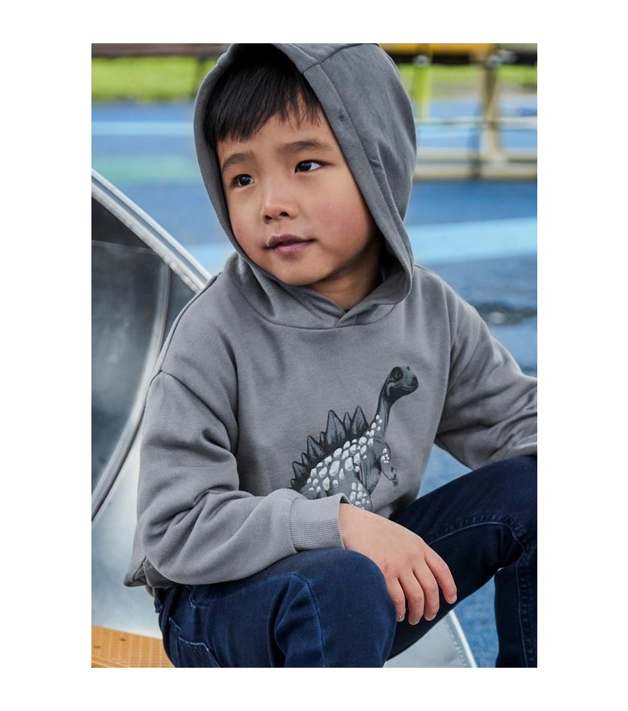 Sudadera gráfica niño 4407