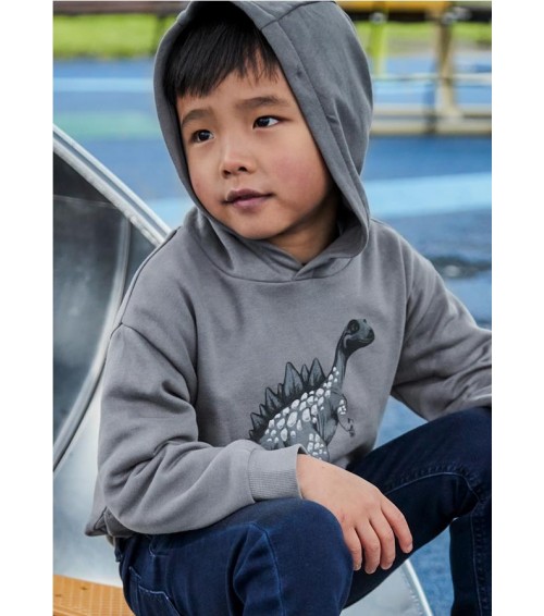 Sudadera gráfica niño 4407