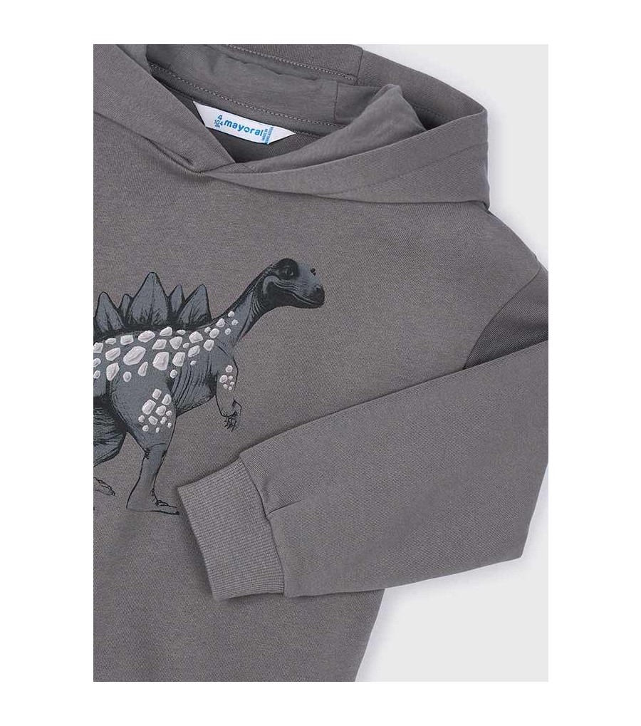 Sudadera gráfica niño 4407 2