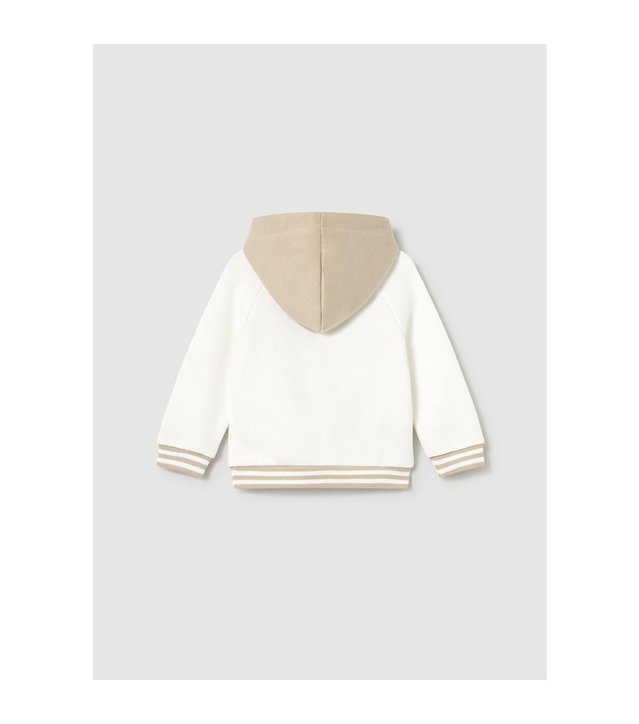 Sudadera capucha bebé 2414 2