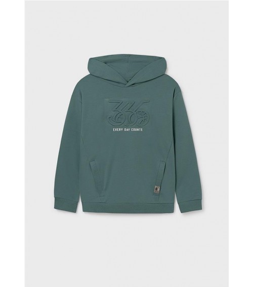 Sudadera con capucha chico 7401