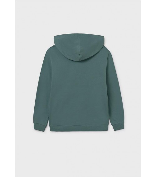Sudadera con capucha chico 7401
