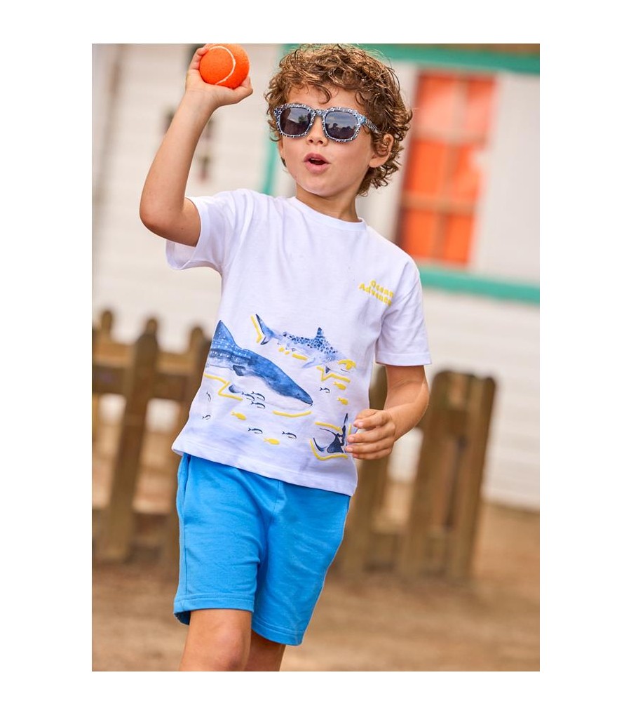 CONJ. PUNTO TIBURONES