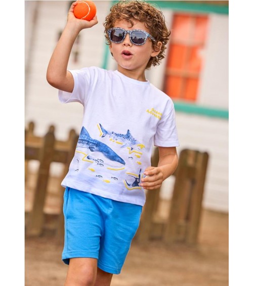 CONJ. PUNTO TIBURONES