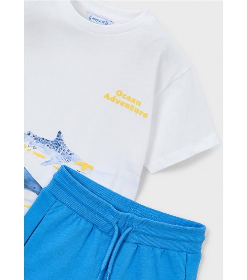 CONJ. PUNTO TIBURONES