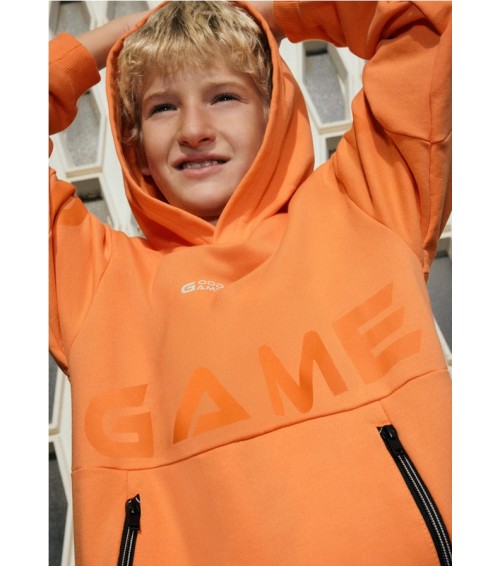 Sudadera capucha cremallera chico 6411