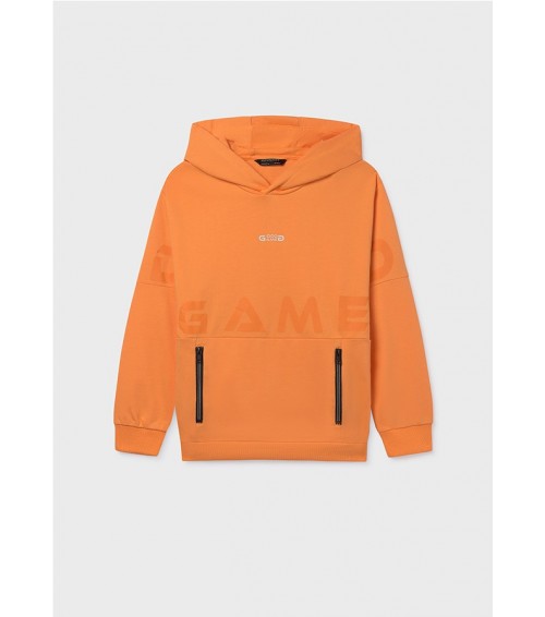 Sudadera capucha cremallera chico 6411