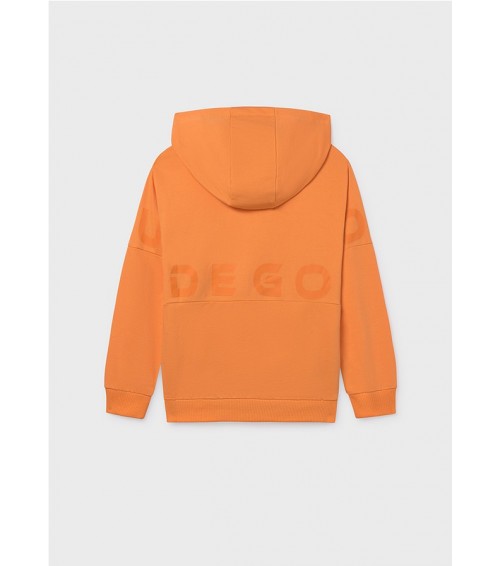 Sudadera capucha cremallera chico 6411