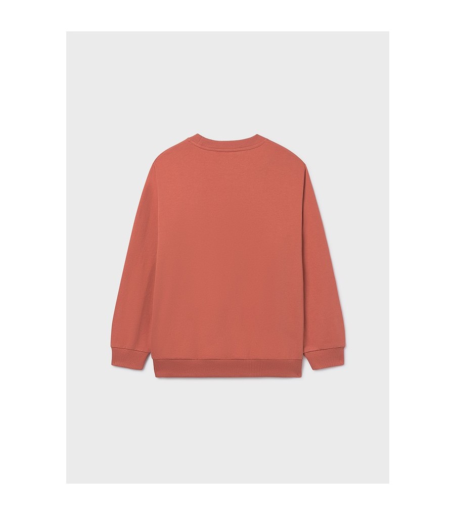 Sudadera relieve chico 6412 2