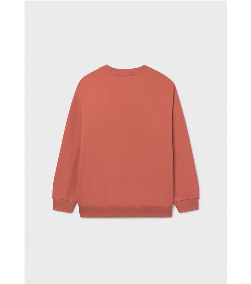 Sudadera relieve chico 6412