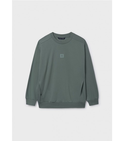 Sudadera básica chico 820