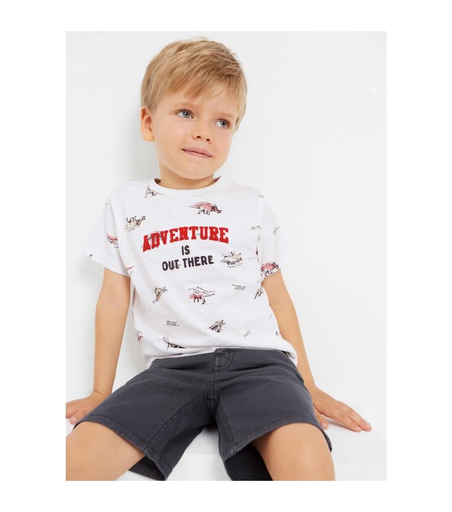 CAMISETA DE MANGA CORTA...